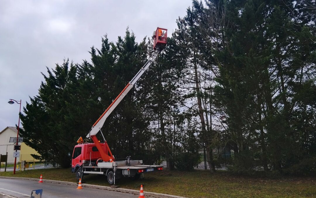 ℹ️ [CHENILLES PROCESSI...