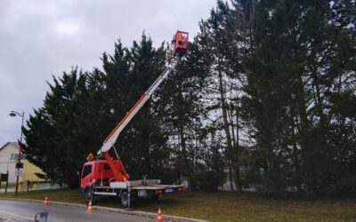 ℹ️ [CHENILLES PROCESSI...