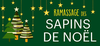 🎄 [COLLECTE DE SAPINS]