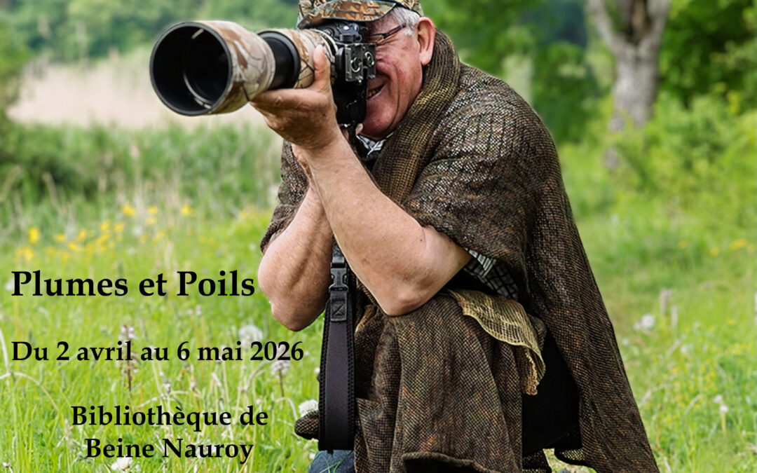 📸 [BIBLIOTHÈQUE] : Exp...