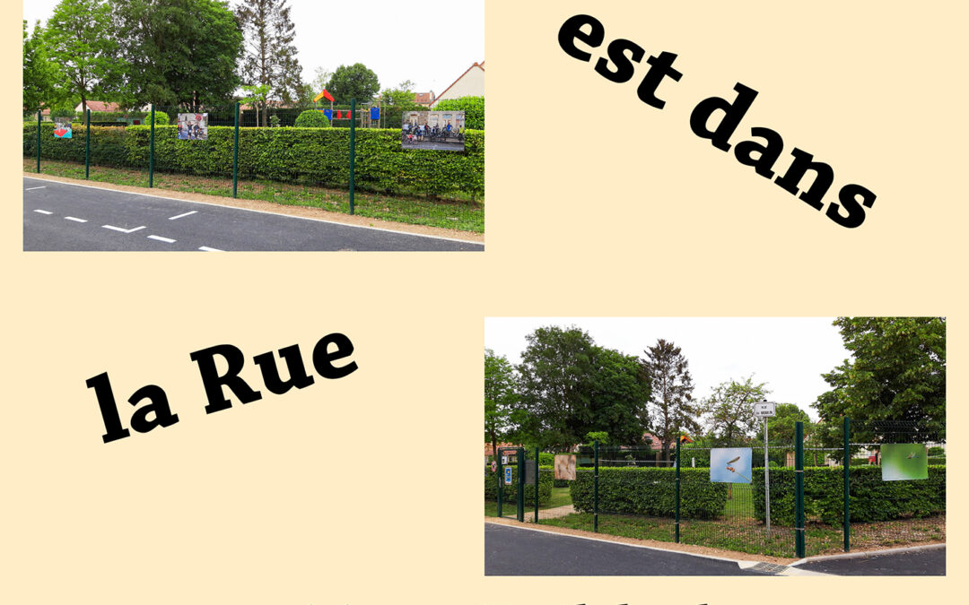 [CLUB PHOTO DU BCS] : ...